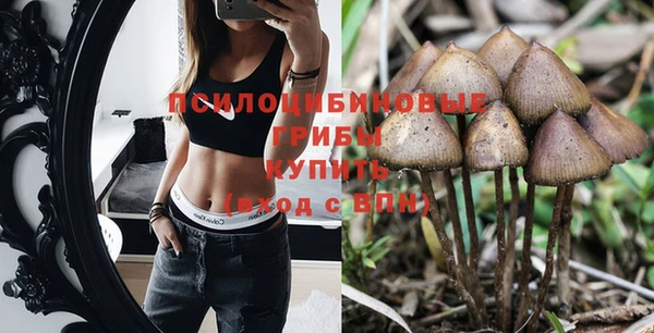 стафф Липки
